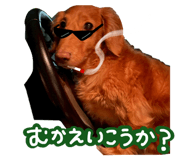 844351263