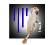 844351267