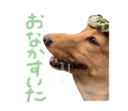844351268