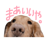 844351270