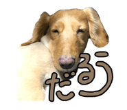 844351272
