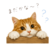 844351377
