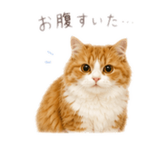 844351388