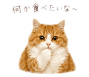 844351390