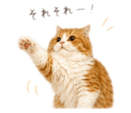 844351398