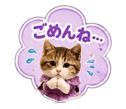 844351407