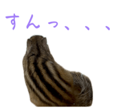 844351724