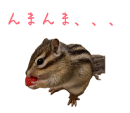 844351725