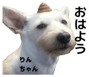844352354