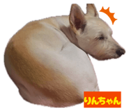 844352376