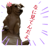 844352499