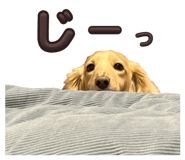 844352502