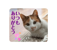 844352606