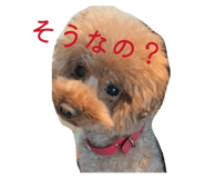 844352638