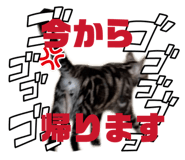 844352753
