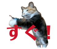 844352768