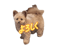844353283