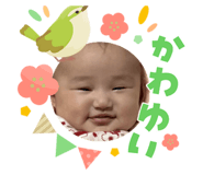 844353515