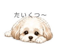 844353816