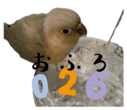 844353818