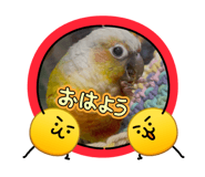844353820
