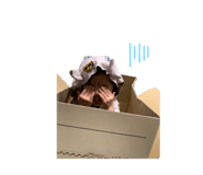 844354101