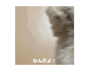 844366165