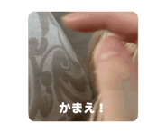 844366166
