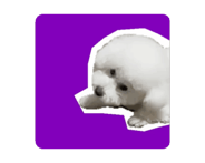 844366375