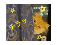 844366514