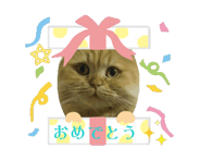 844366527