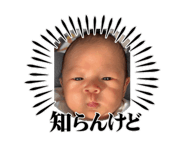 844366628