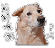 844366885