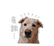 844366888