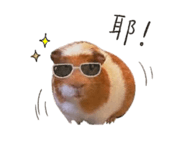 844367446
