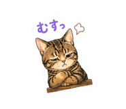 844367553