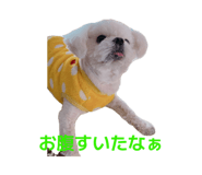 844368163