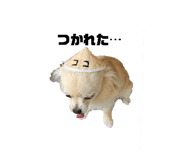 844368231