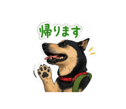844368327