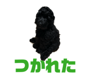 844368536