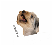 844368590