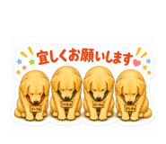 844368816