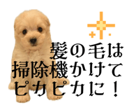 844369118