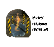 844369156