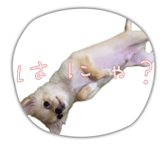 844369472