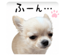 844369490