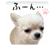 844369490