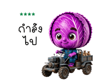 844372177