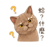 844393958
