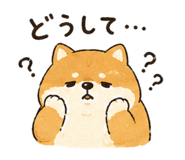 844395206